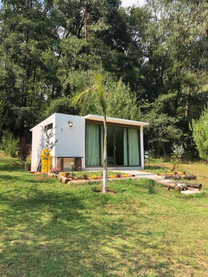 Romanticas Cabanas En Bosque Acaxochitlan Экстерьер фото