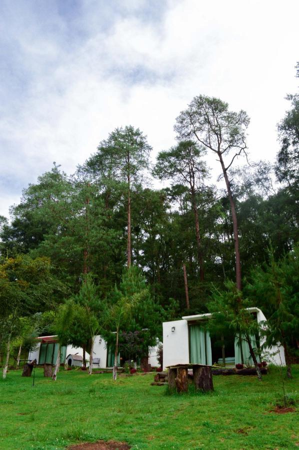 Romanticas Cabanas En Bosque Acaxochitlan Экстерьер фото