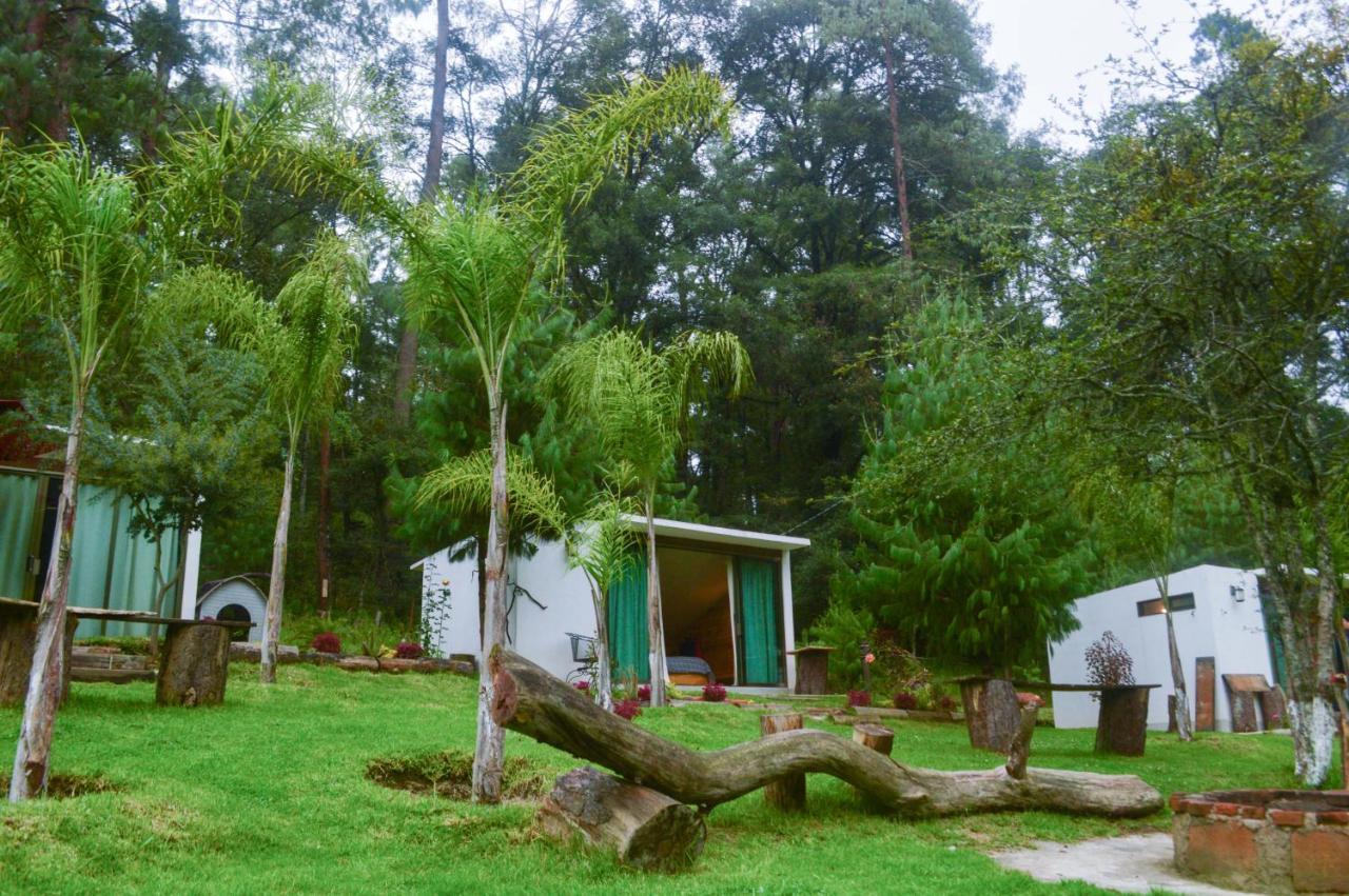 Romanticas Cabanas En Bosque Acaxochitlan Экстерьер фото